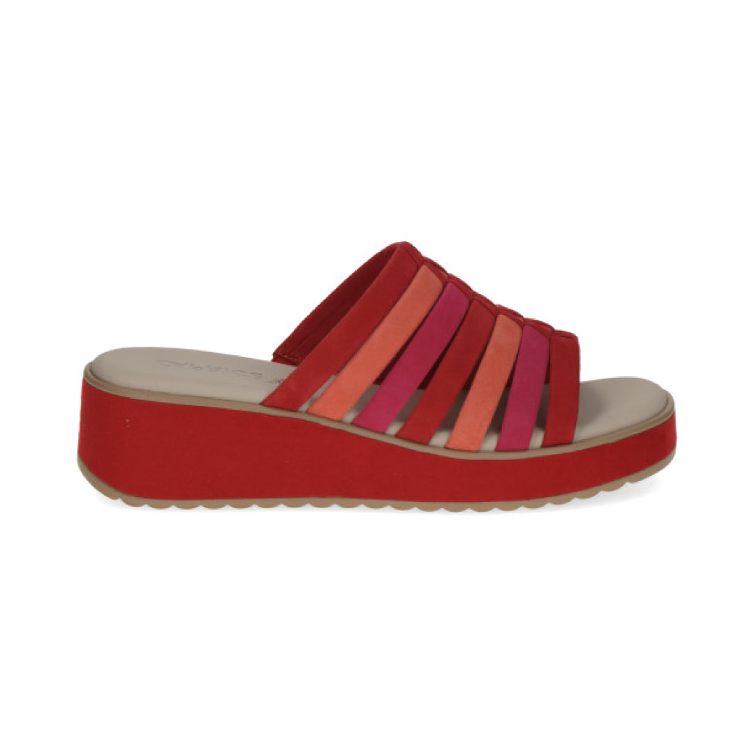 CAPRICE 27201 MULES