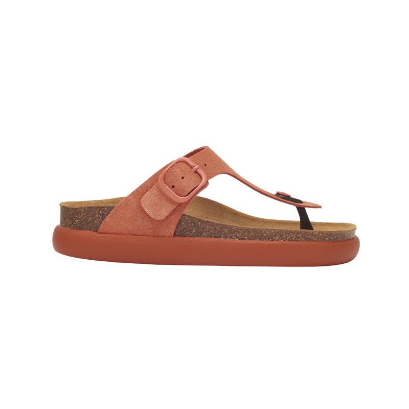 SCHOLL IC ANAIS CHUNKY FLIP FLOP