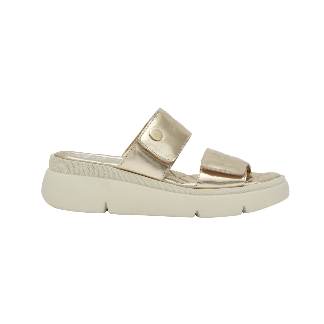 SCHOLL WOMEN BALI 2 MULES