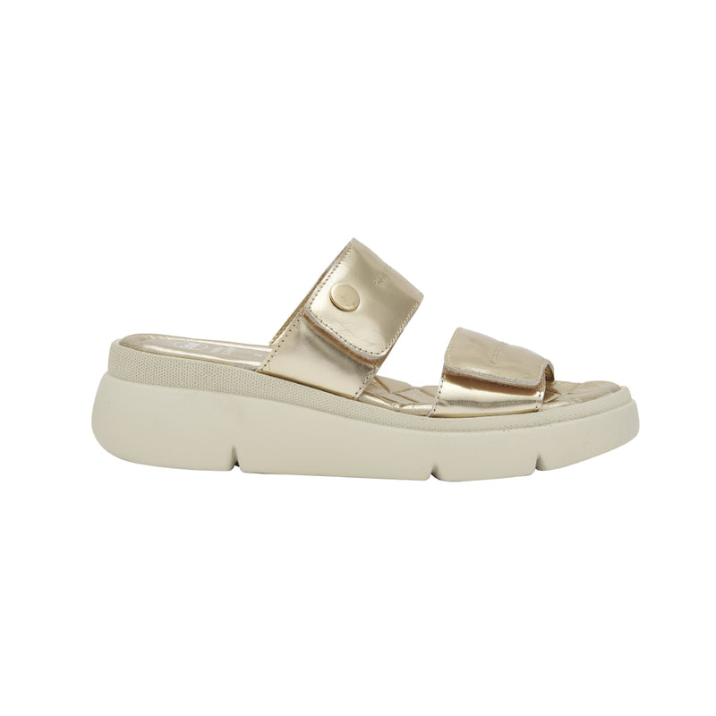 SCHOLL WOMEN BALI 2 MULES
