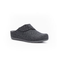 SCHOLL BRUGES MULES