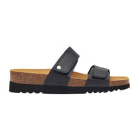 SCHOLL LUSAKA MULES