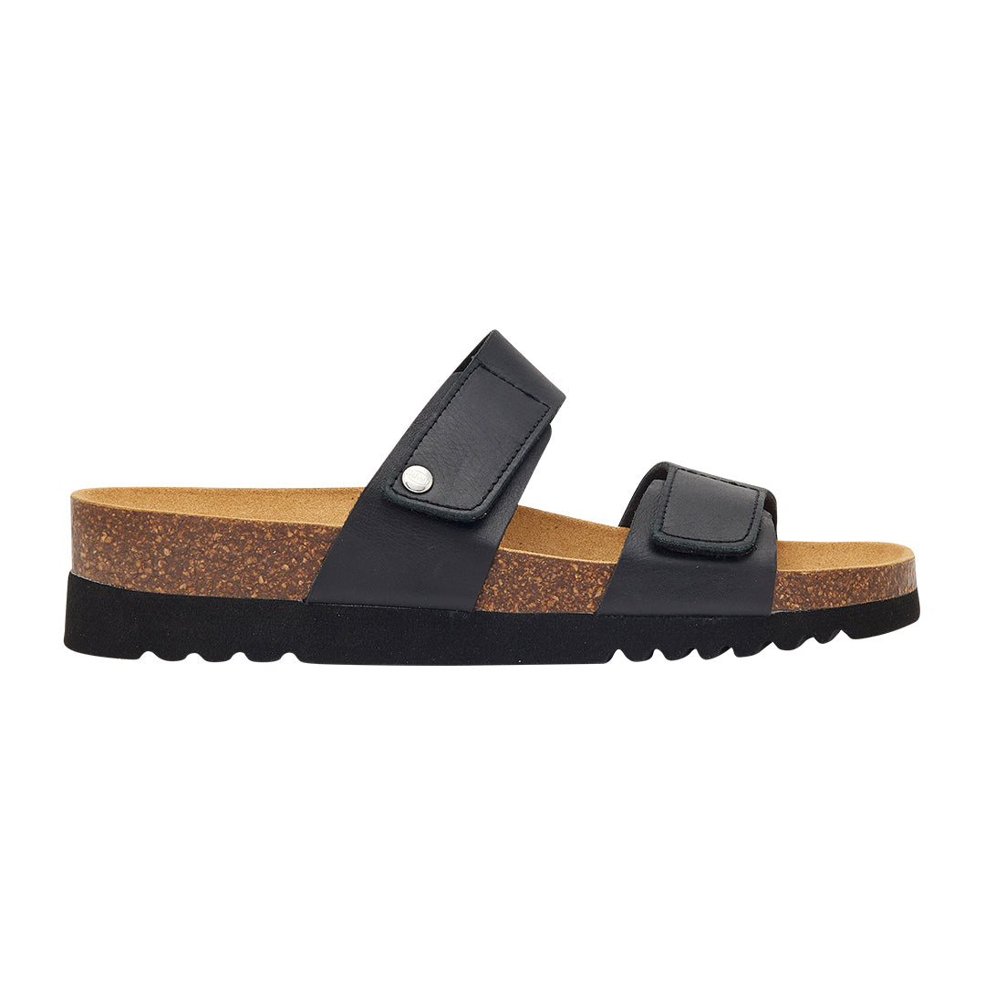 SCHOLL LUSAKA MULES