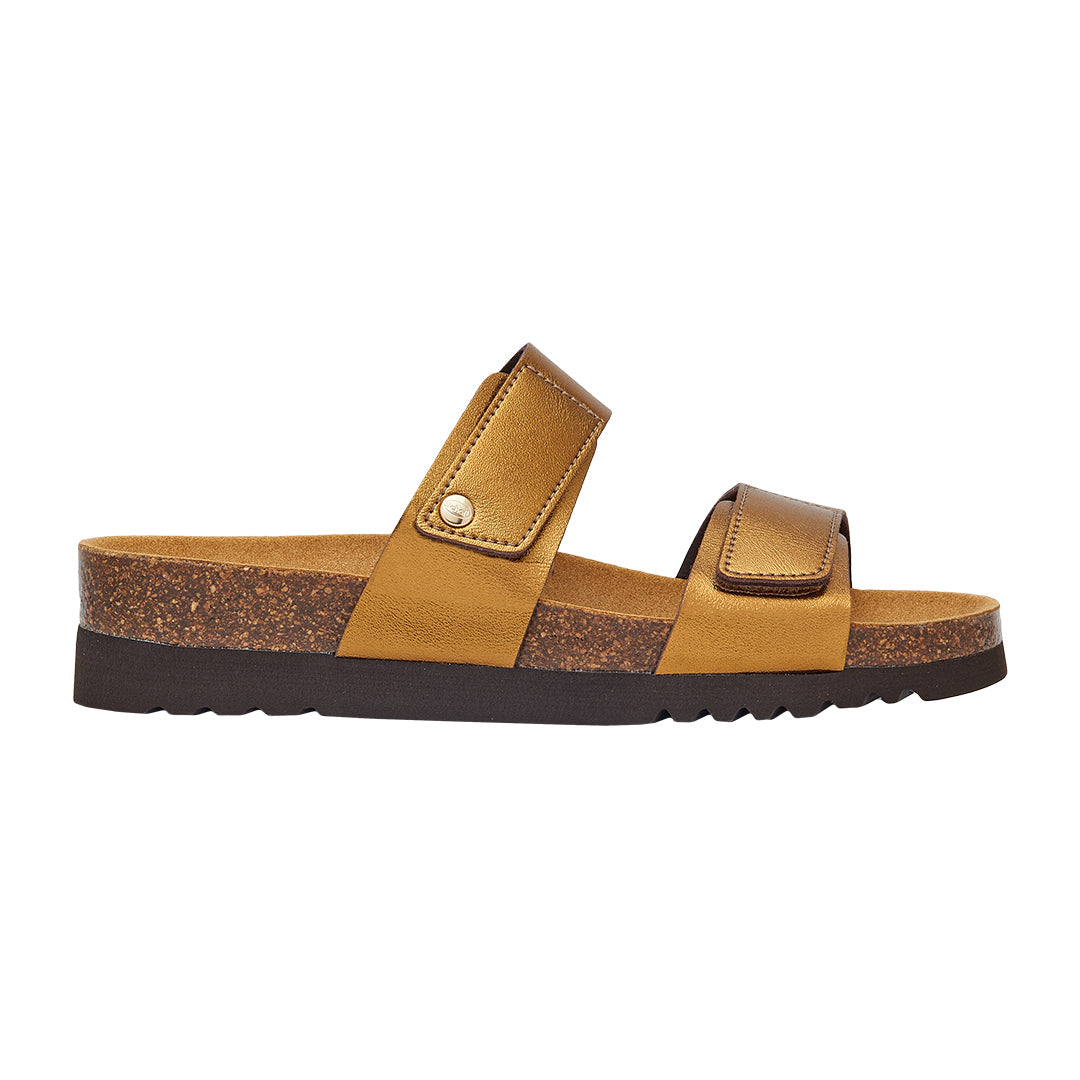 SCHOLL LUSAKA MULES