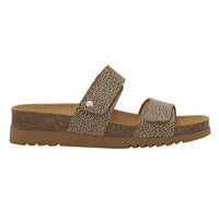 SCHOLL LUSAKA MULES