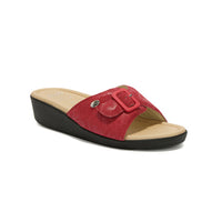 SCHOLL MANGO MULES