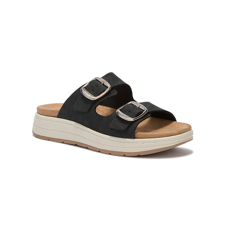 SCHOLL SCILLA 2 BUCKLE MULES
