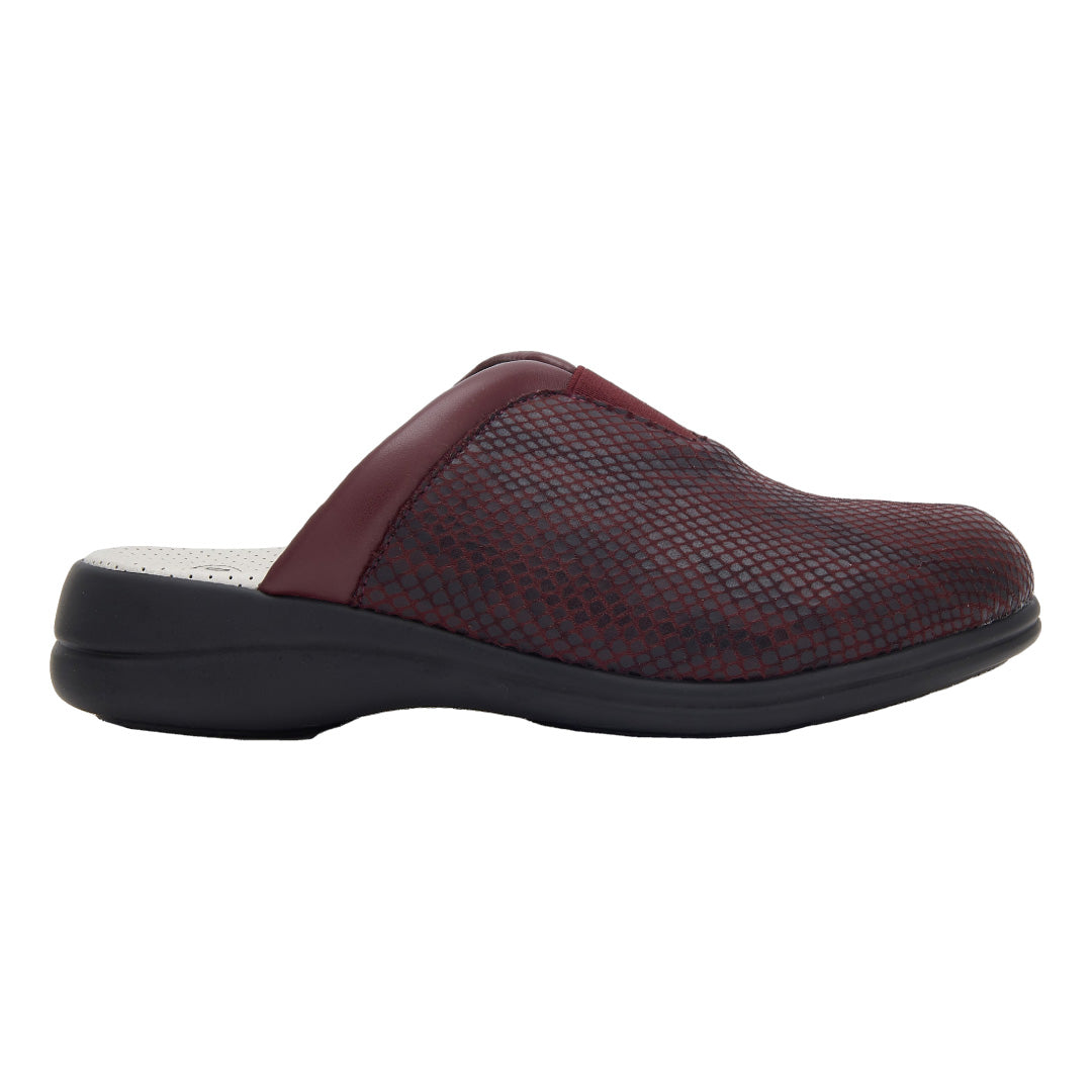 SCHOLL TOFFEE ELASTIC MULES